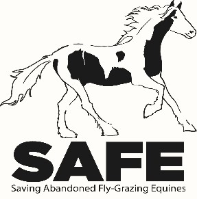 SAFE logo