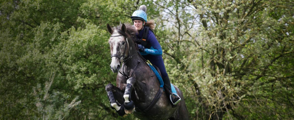 horse rider and horse jumping obstacles