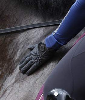 Sale items less than 30 pound like riding gloves