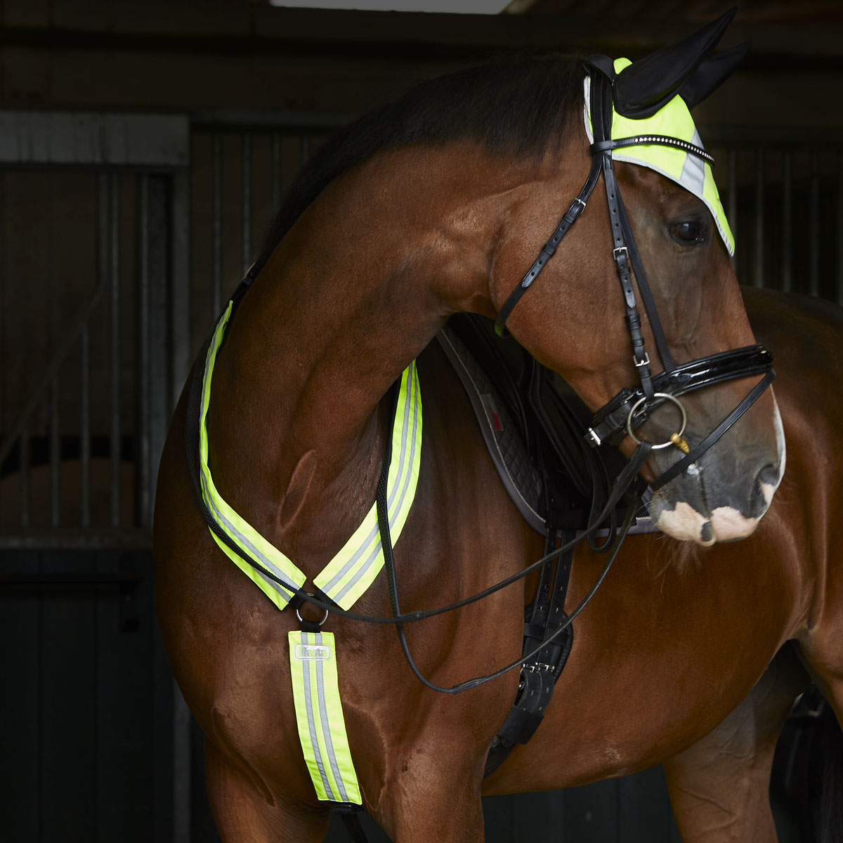 horse wearing a hi viz breast plate in yellow