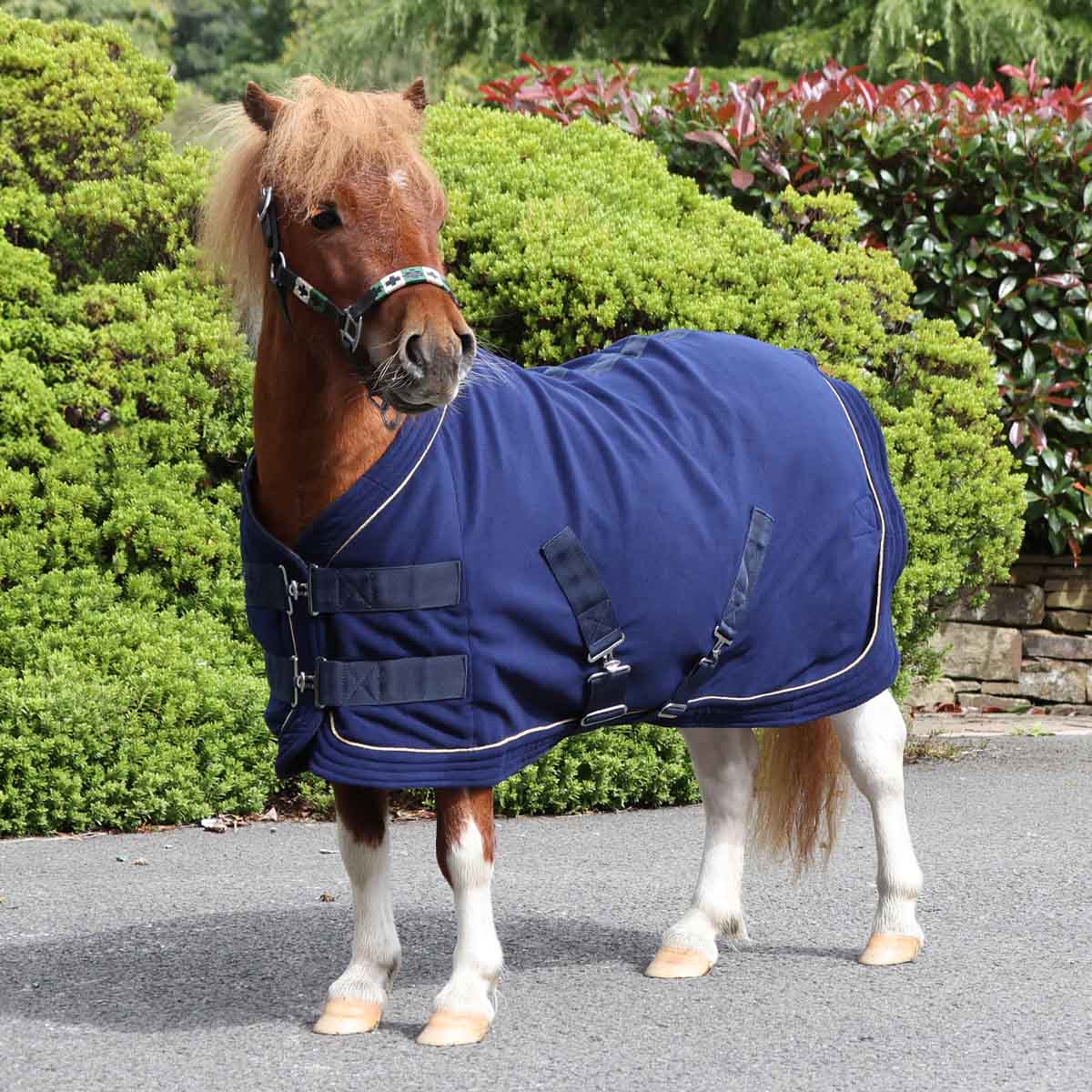 masta fleece rug foal