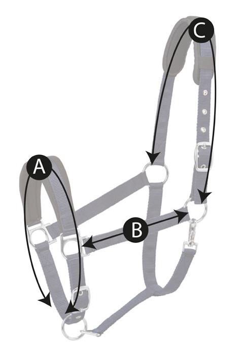 Padded Headcollar | Harry Hall