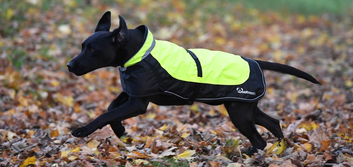 Hi Viz Hi Viz