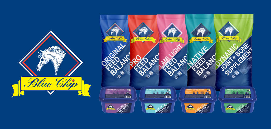 Blue Chip Blue Chip