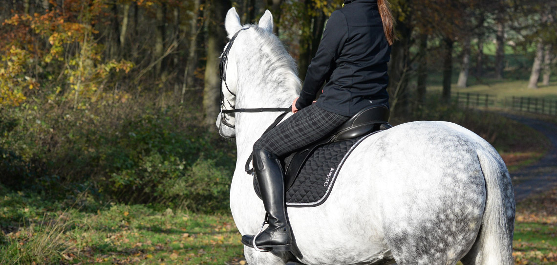 Horse Wear Horse Wear