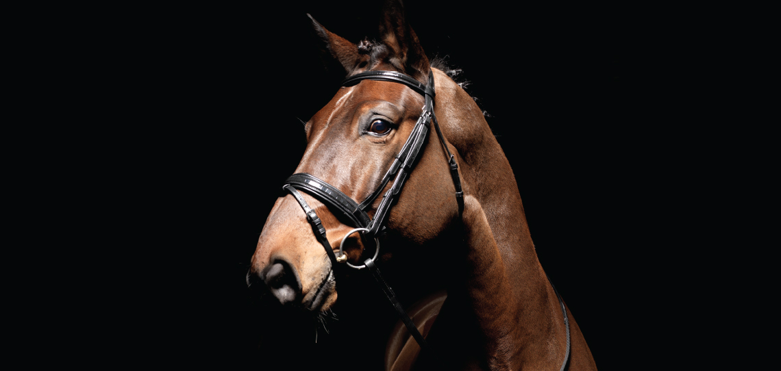 Bridlework Bridlework