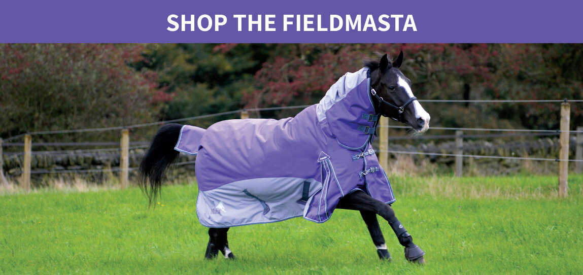 Fieldmasta Turnout Rugs Fieldmasta Turnout Rugs
