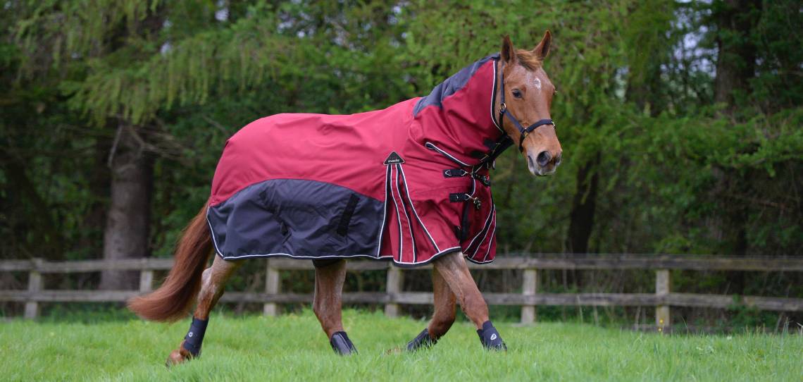 Turnout Rugs Turnout Rugs