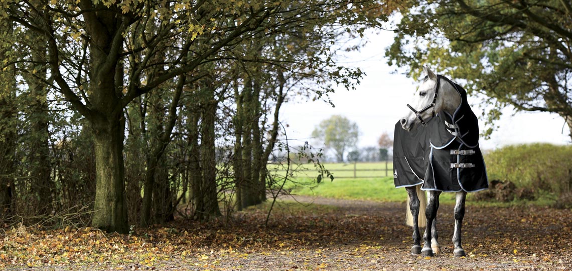 Horse Rugs Horse Rugs