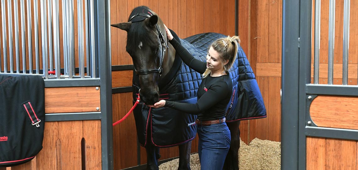 Horse Riding & Stable Equipment Horse Riding & Stable Equipment