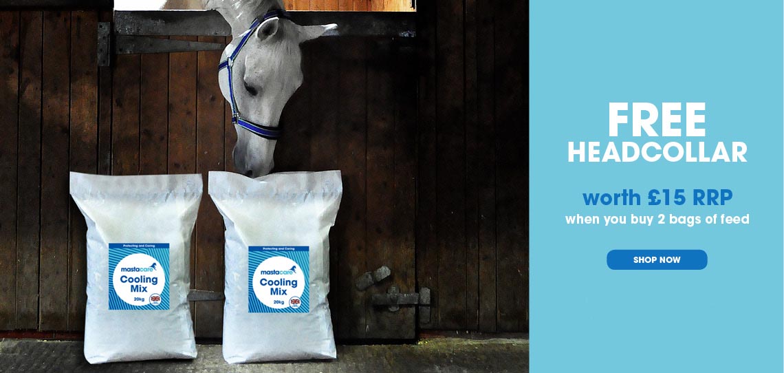Horse Feed Horse Feed