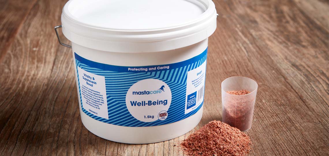 Horse Supplements Horse Supplements