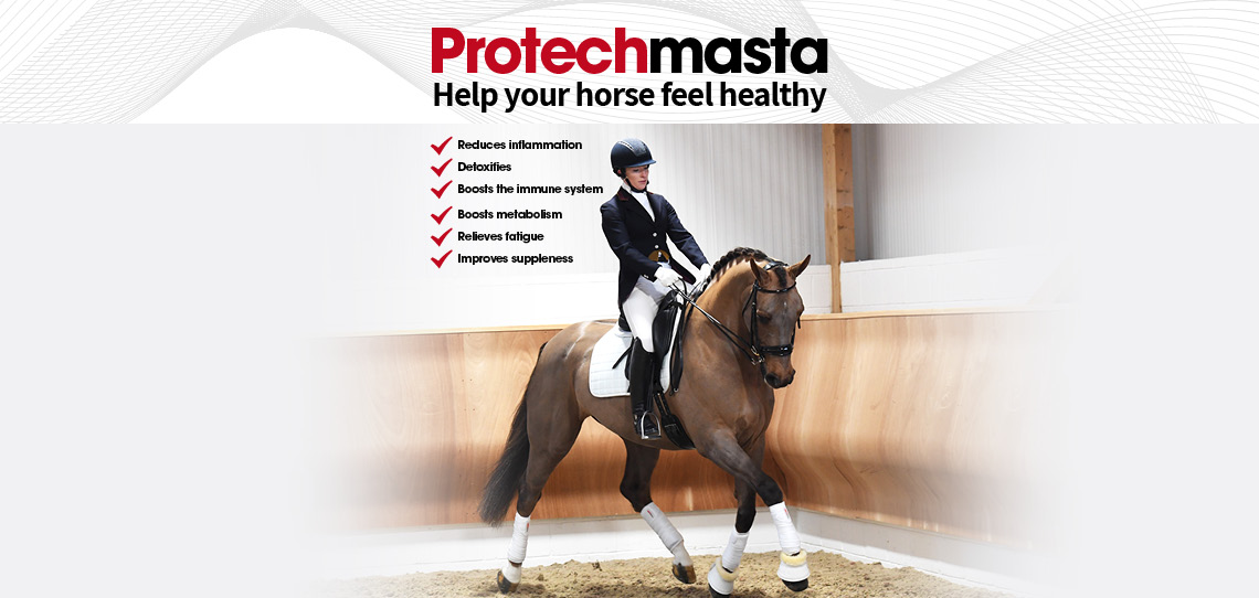 Horse Therapy Horse Therapy