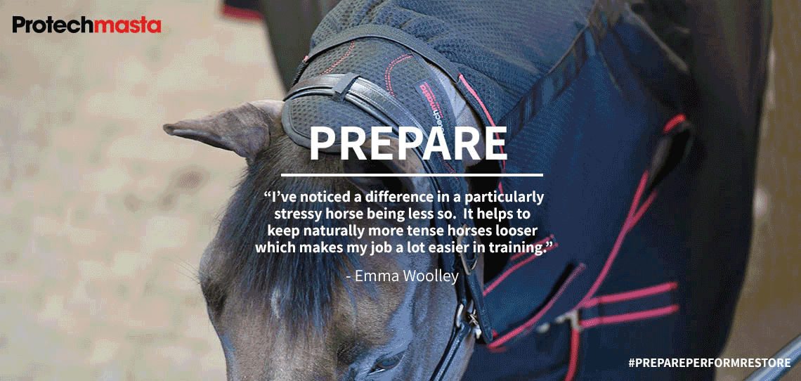 Horse Therapy Horse Therapy
