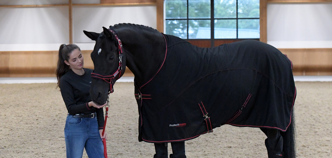 Horse Therapy Products Horse Therapy Products
