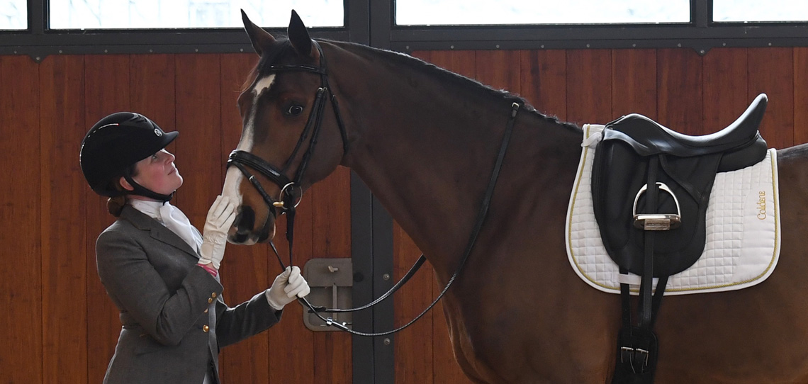 Numnahs & Saddle Pads Numnahs & Saddle Pads