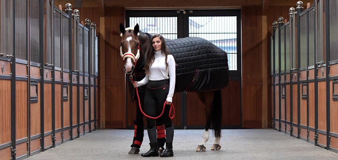 Stable Rugs Stable Rugs