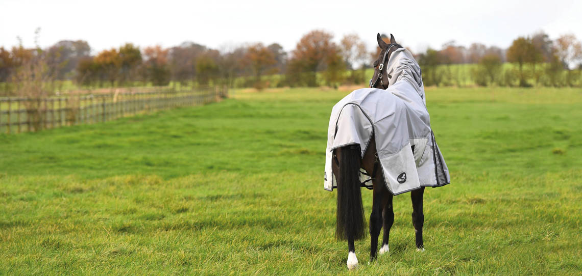 Fieldmasta Rugs Fieldmasta Rugs