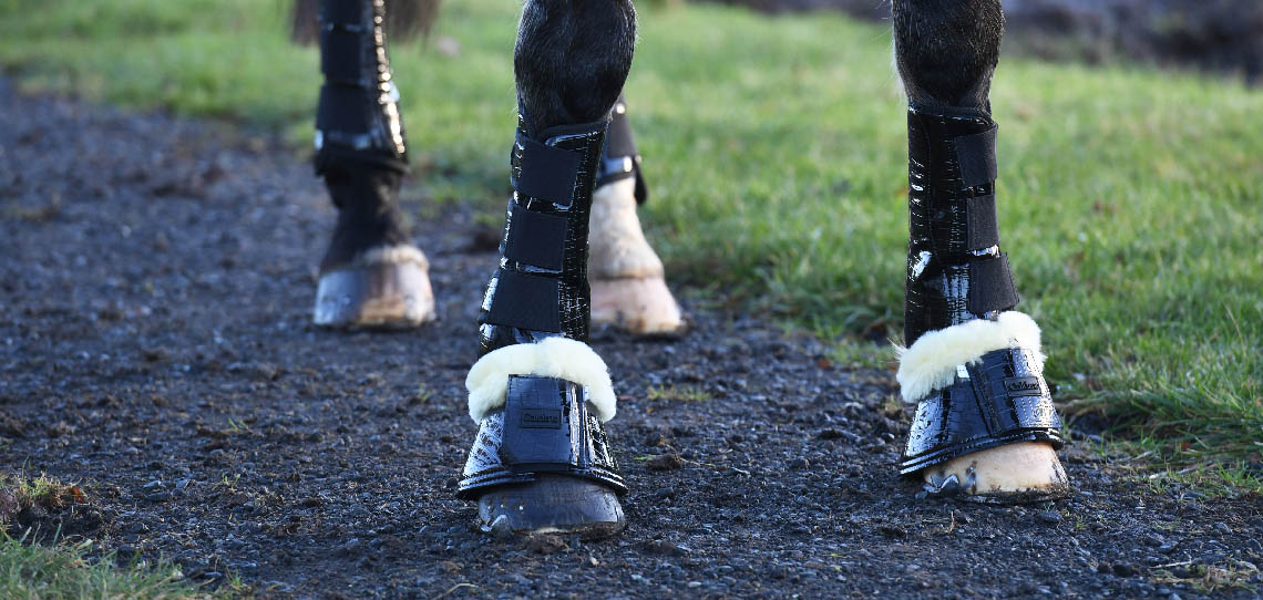 Horse Boots and Bandages Horse Boots and Bandages