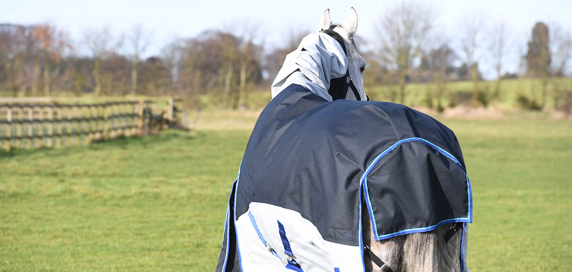 Horse Rugs Horse Rugs