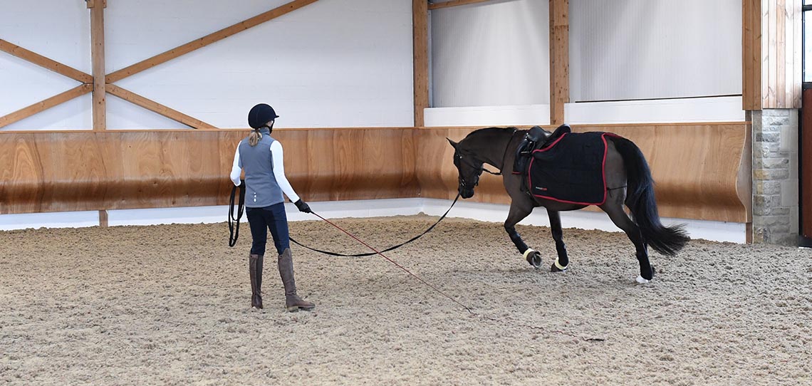 Training Equipment Horse Riding & Stable Equipment