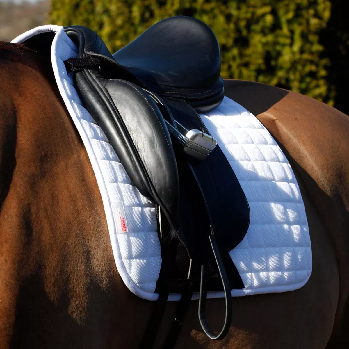 Protechmasta Far Infrared Airmesh Dressage Saddle Pad White
