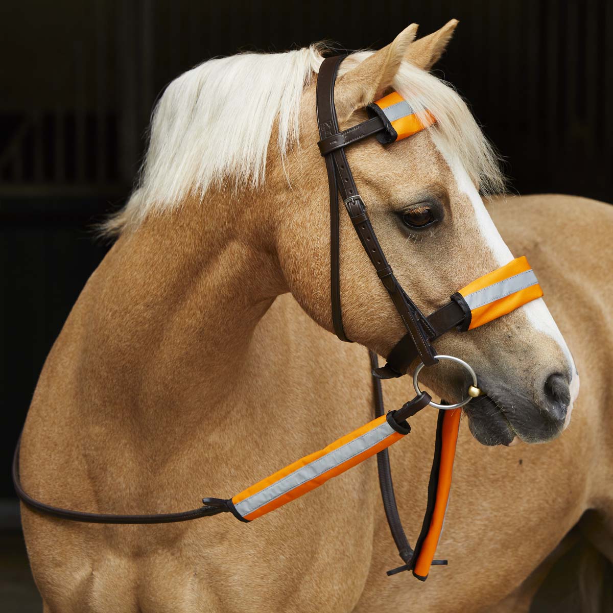 Masta Hi Viz Bridle Covers Orange