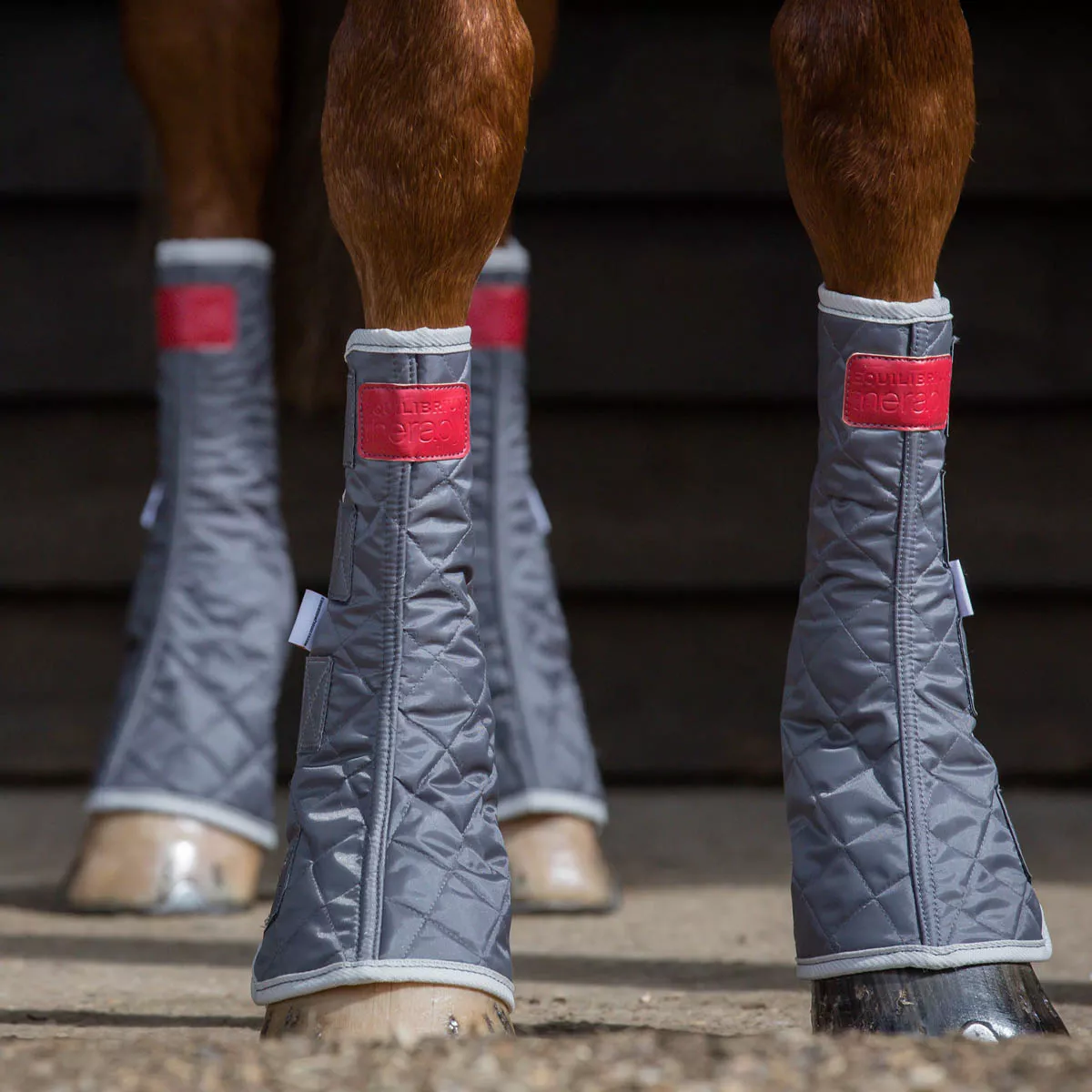 Equilibrium Therapy Magnetic Chaps Grey