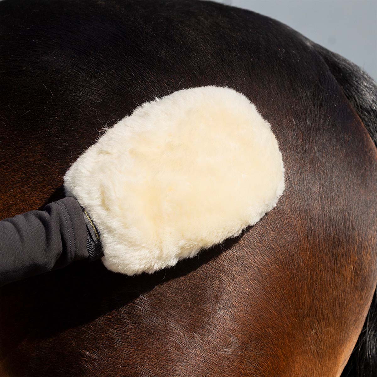 Supreme Products Sheepskin Perfection Mitt 