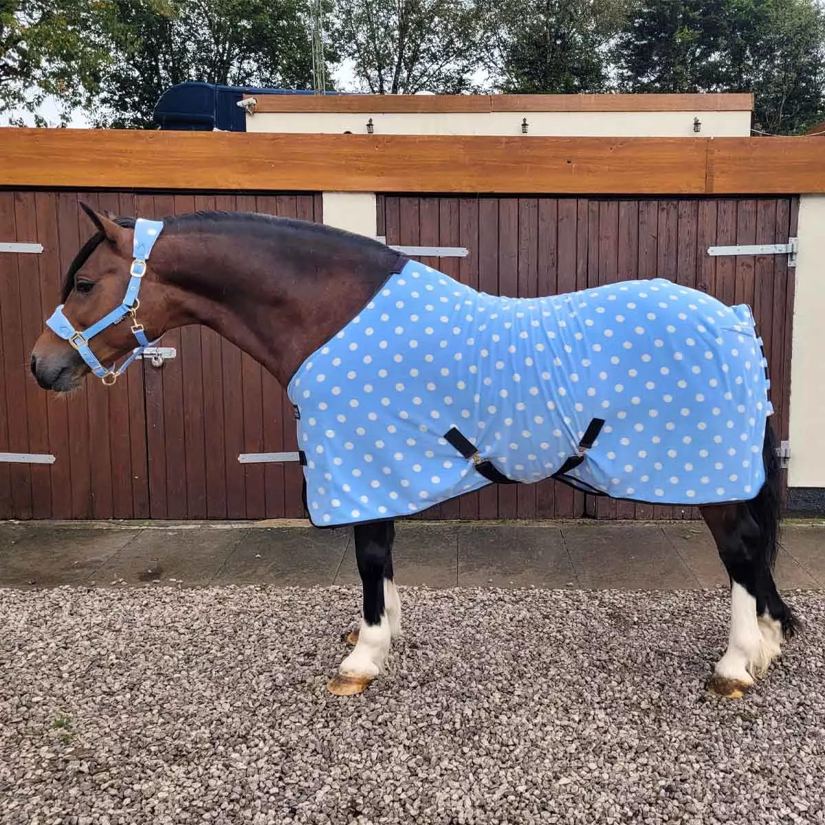 Supreme Products Dotty Fleece Rug Blue