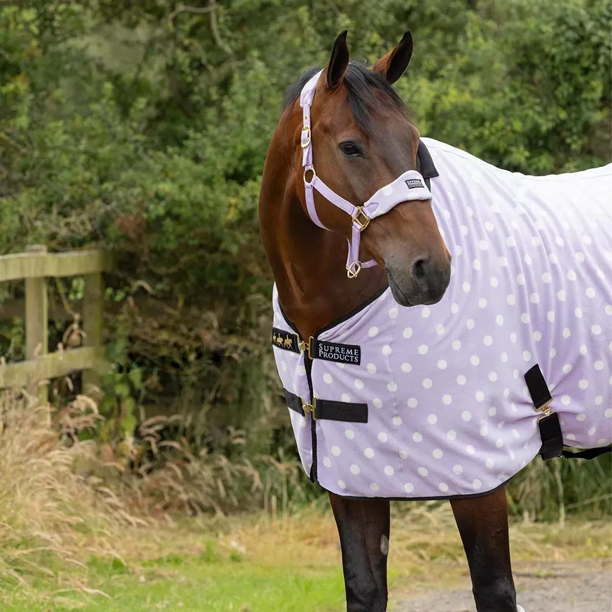 Supreme Products Dotty Fleece Rug Lilac