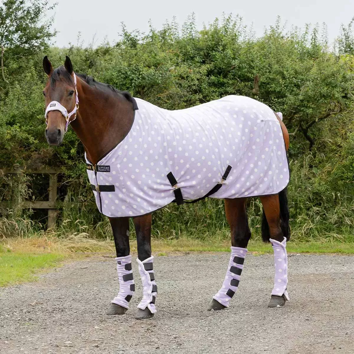 Supreme Products Dotty Fleece Rug Lilac