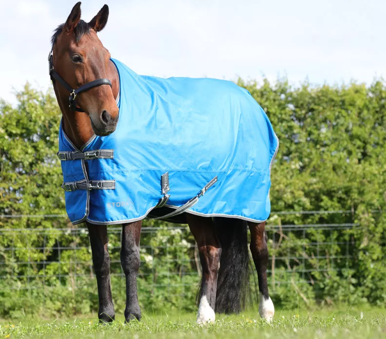 StormX Empra 0g Turnout Rug Blue