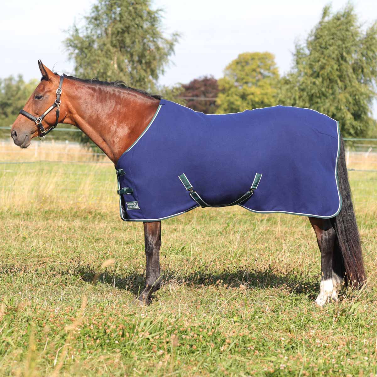 StormX Empra Opulence Fleece Rug Navy Blue Teal Binding