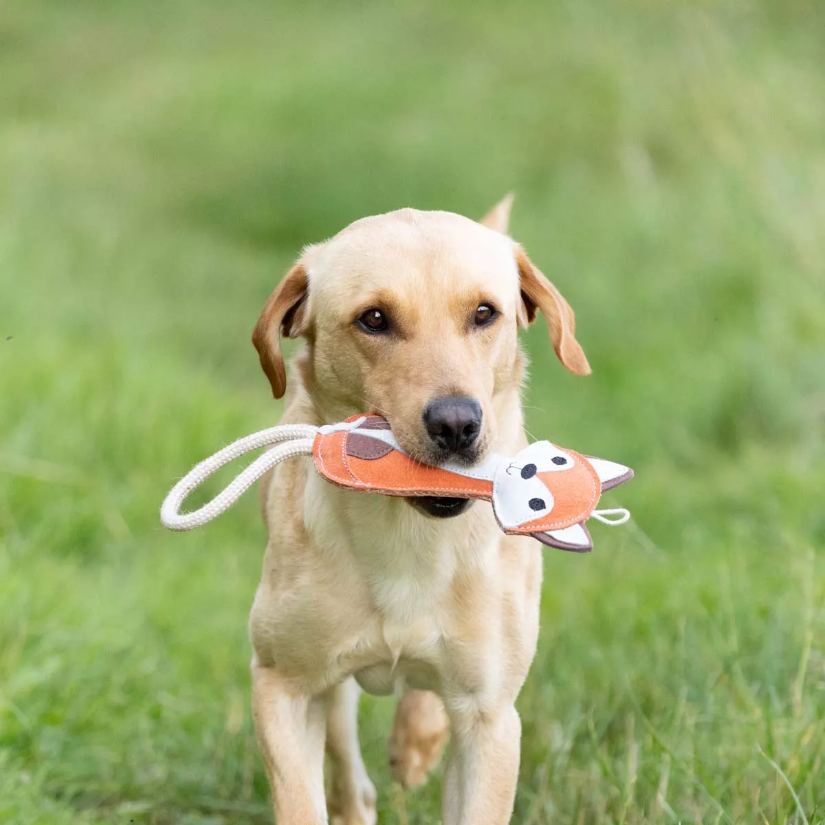 Benji & Flo Country Dog Toys - Reynard the Fox Brown
