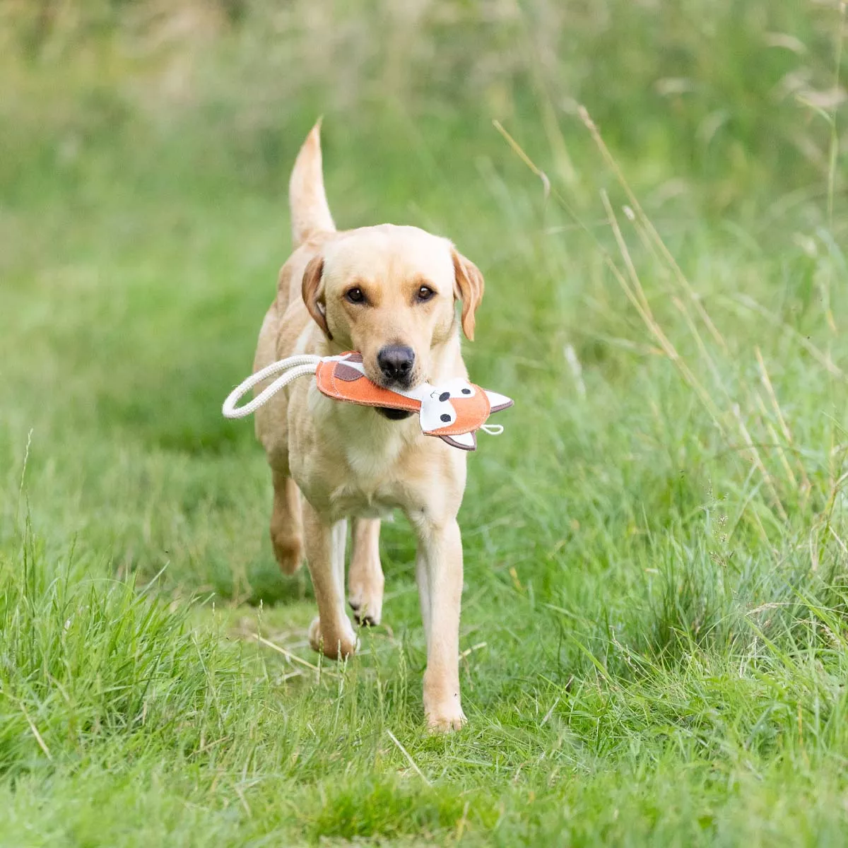 Benji & Flo Country Dog Toys - Reynard the Fox Brown