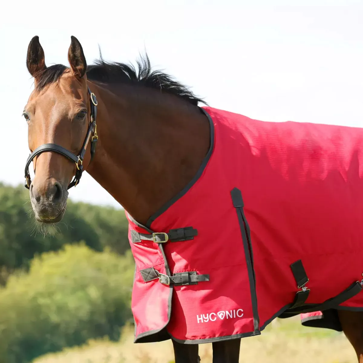HyCONIC 50g Turnout Rug Red