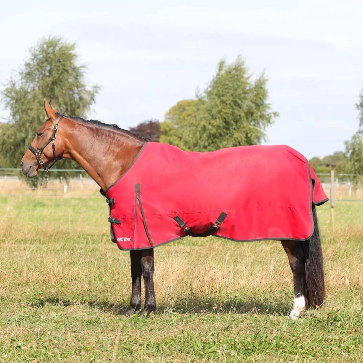 HyCONIC 50g Turnout Rug Red