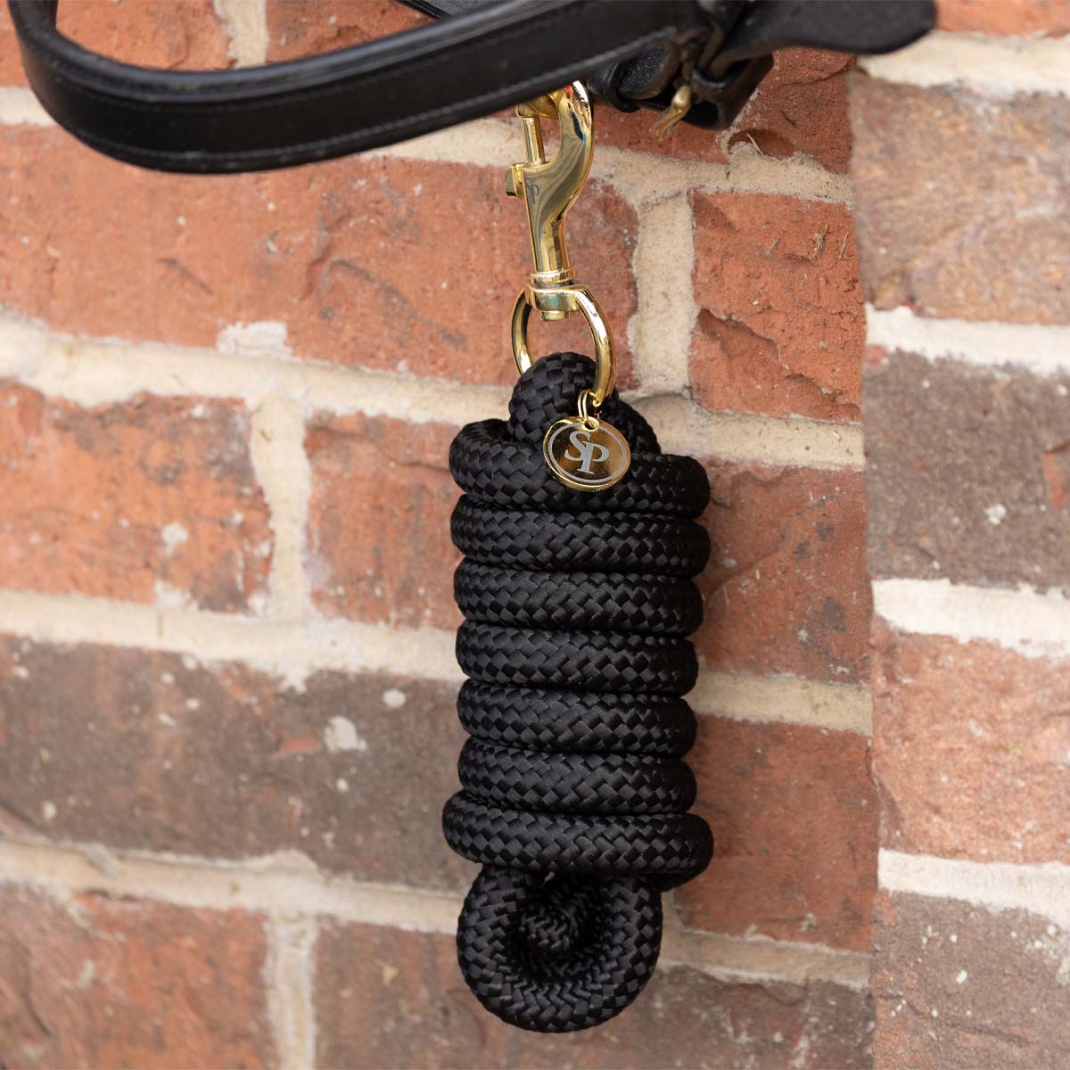Supreme Products Royal Occasion Lead Rope - Black