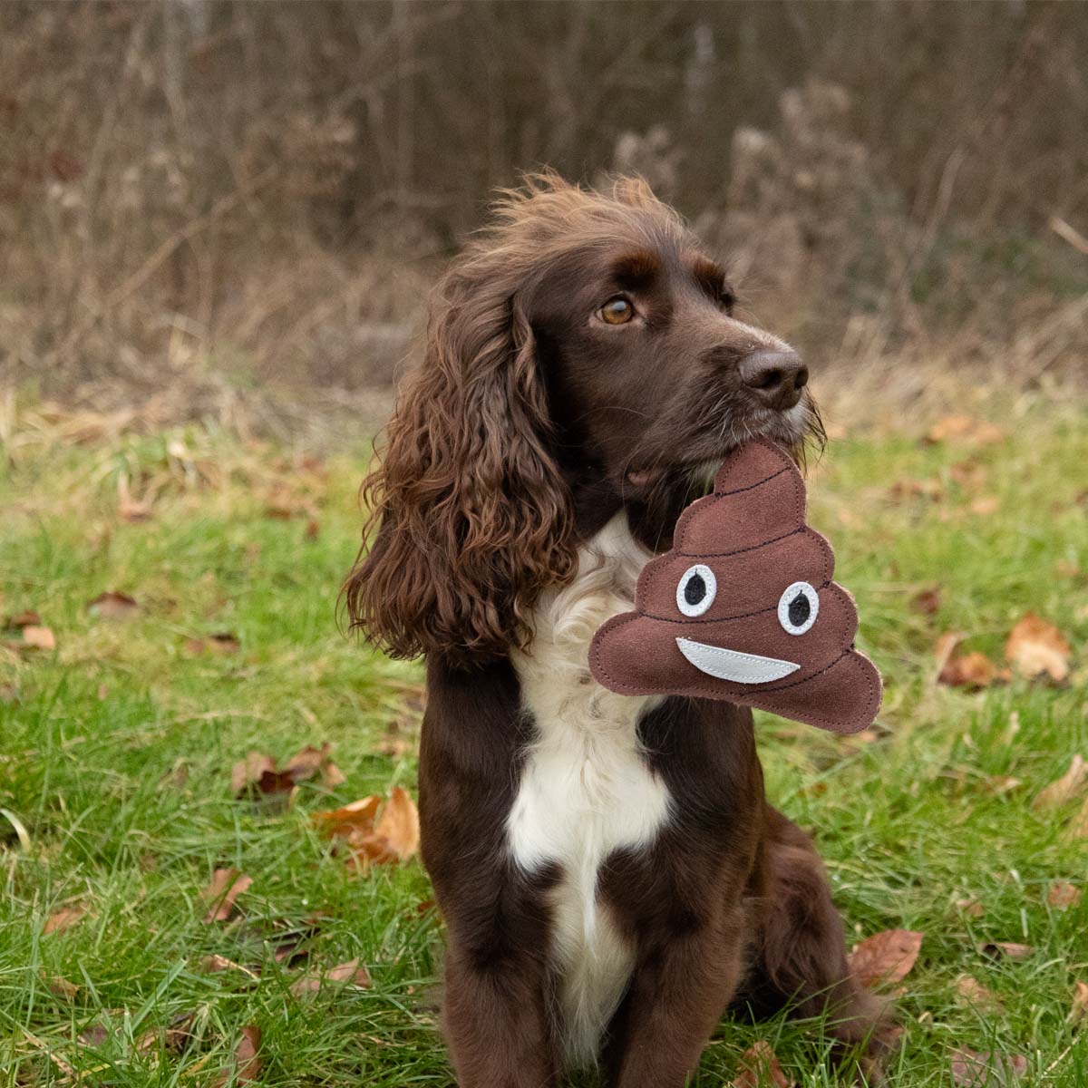 Benji & Flo Crazy Faces Dog Toys - Ooopsie Poopsie 
