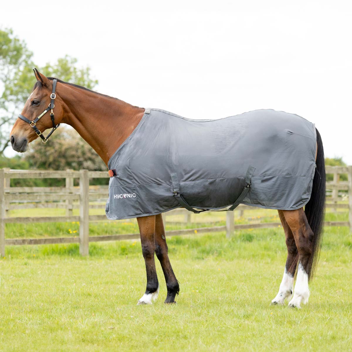 HyCONIC Cooler Rug - Grey