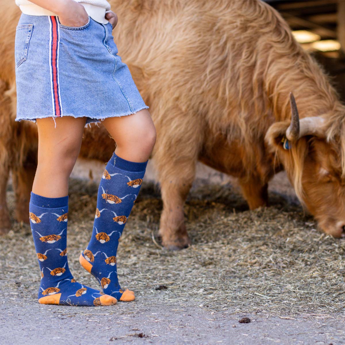 Bartleby Funky Welly Socks Ladies Highland Cow