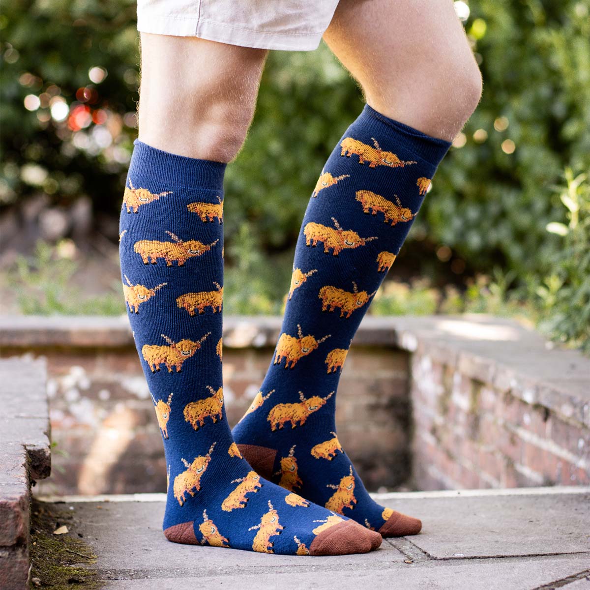 Bartleby Funky Welly Socks Men's Hardy Highland