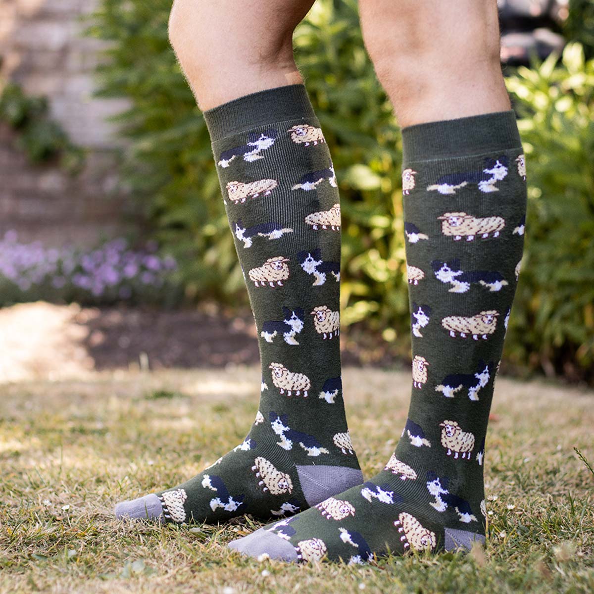 Bartleby Funky Welly Socks Men's Sheep & Sheepdog
