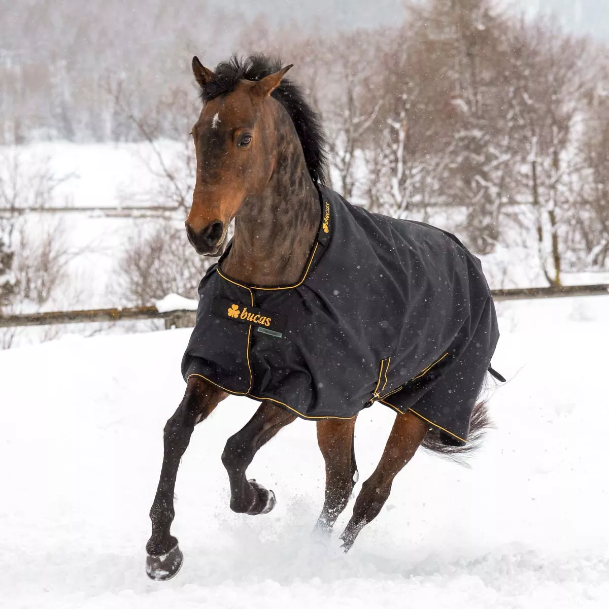 Bucas Irish 50g Turnout Rug Black/Gold