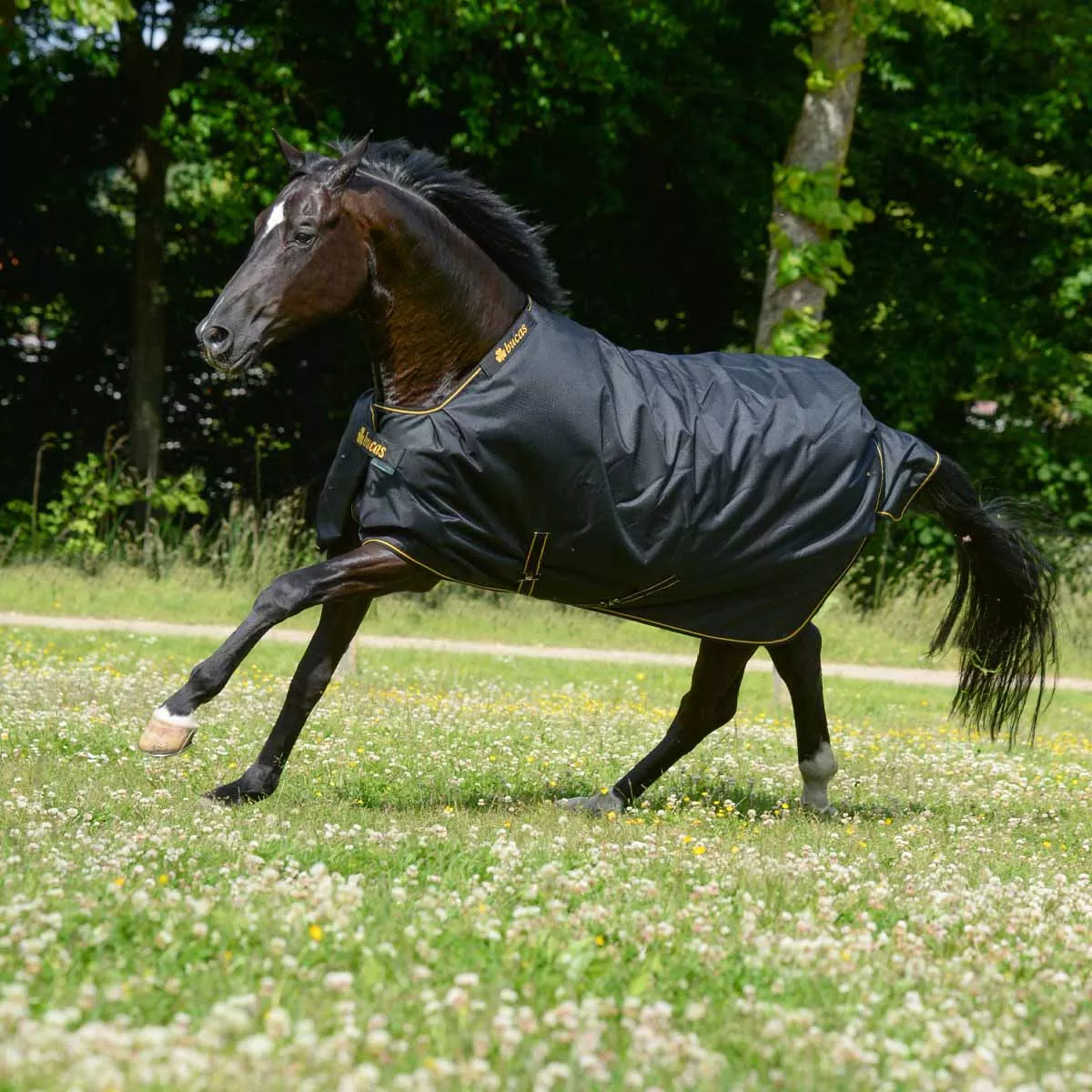 Bucas Irish 50g Turnout Rug Black/Gold