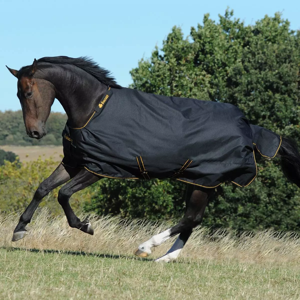 Bucas Irish 50g Turnout Rug Black/Gold