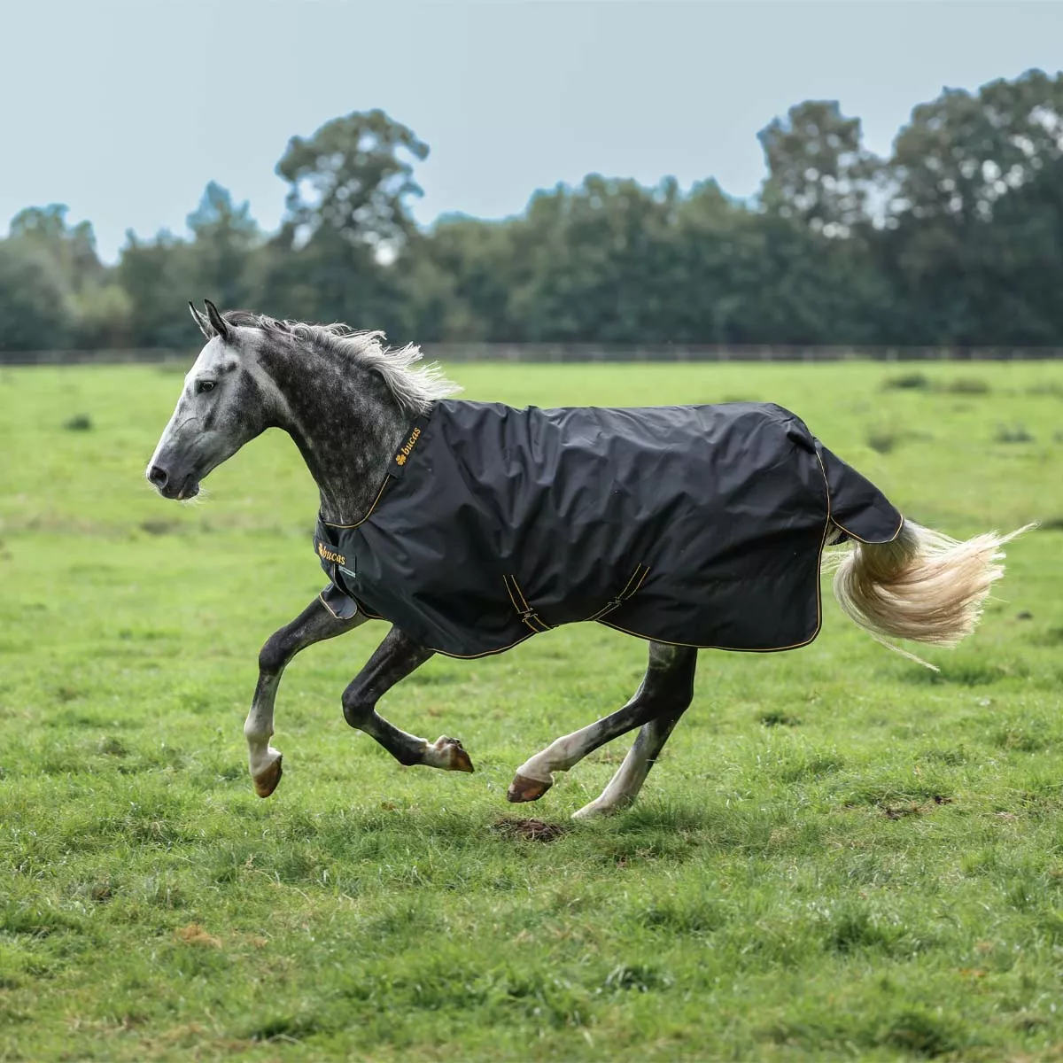 Bucas Irish 150 Turnout Rug Black