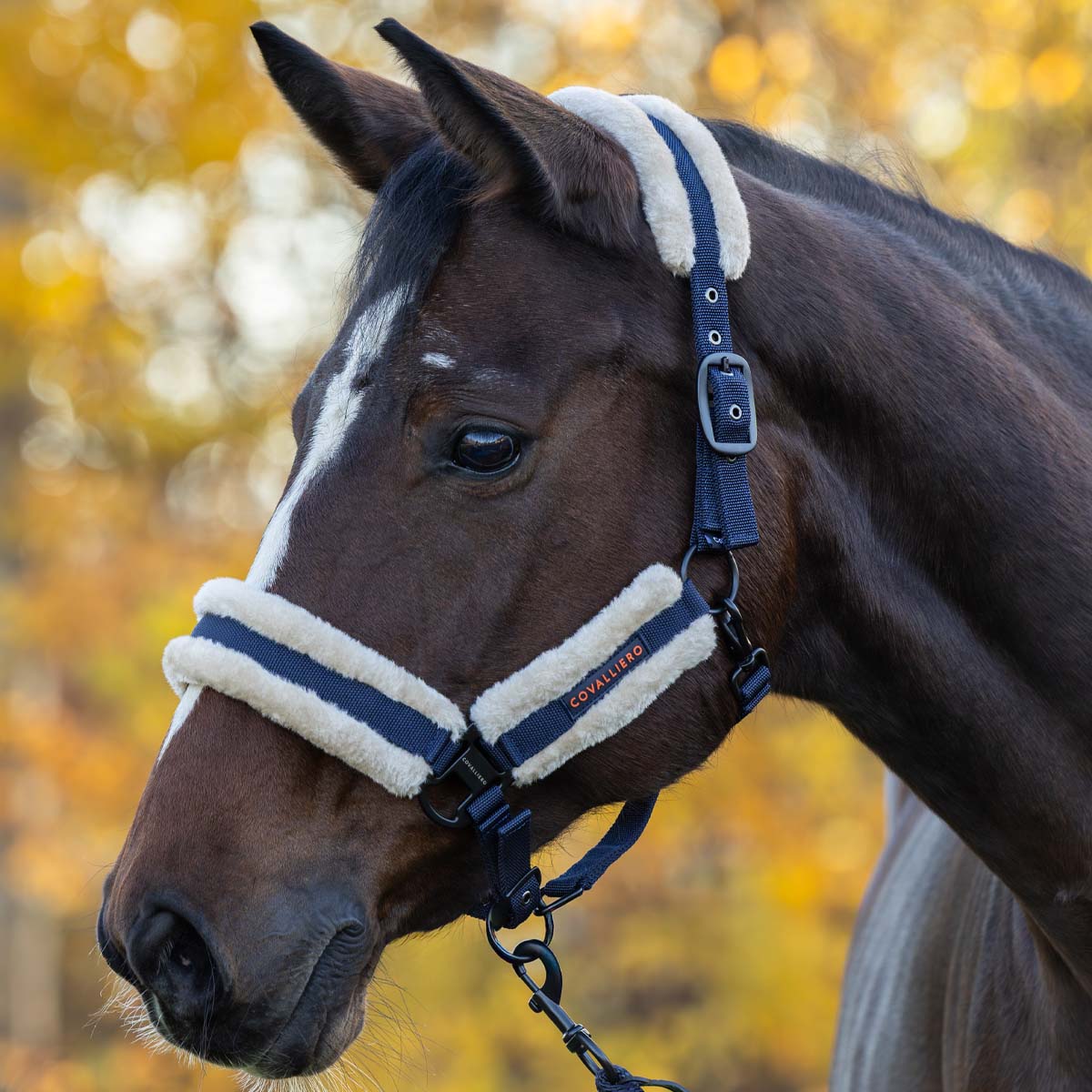 Covalliero Faux Fur Headcollar Dark Navy
