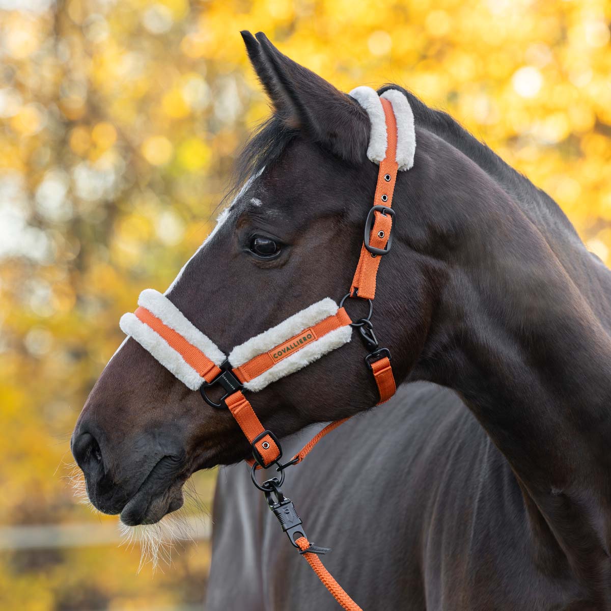 Covalliero Faux Fur Headcollar Orange
